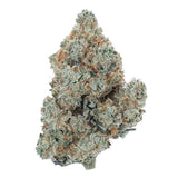 Donnie Burger THCA flower, Premium Bigs
