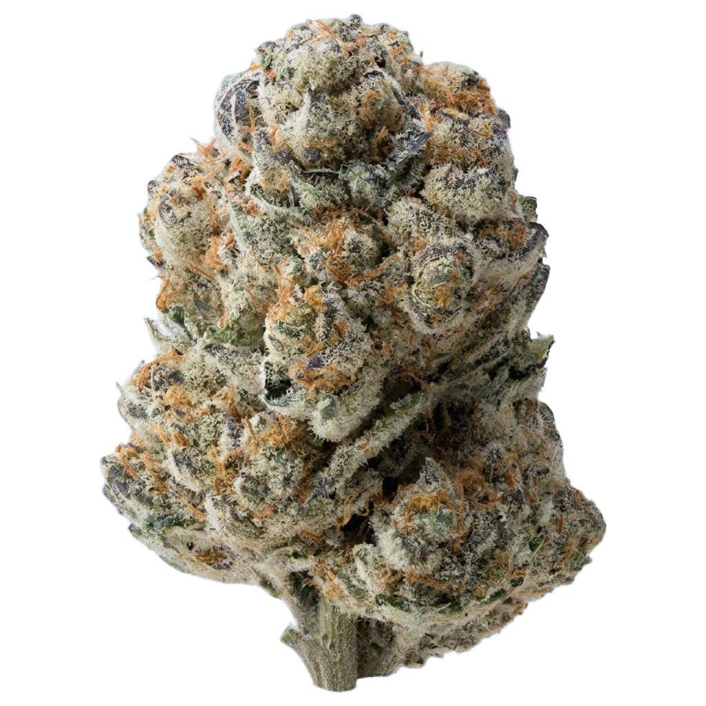 Lemon Cherry Belts THCA flower, Premium Bigs